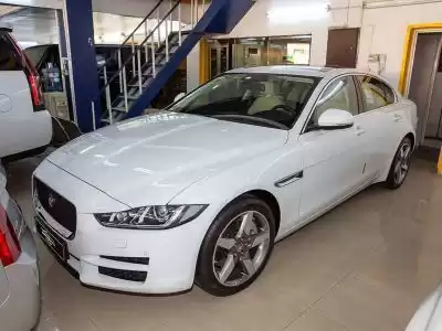 Yepyeni Jaguar Unspecified Satılık içinde Doha #7797 - 1  image 